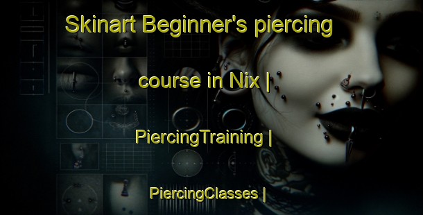 Skinart Beginner's piercing course in Nix | PiercingTraining | PiercingClasses | SkinartTraining-United States